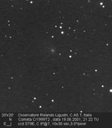 Lin1999T2 010619