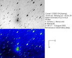 C2002O4 020813