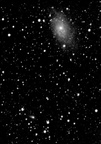 C2002T7-M33 031223c