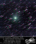 C2002Y1 030305