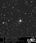 C2004Q1 041112