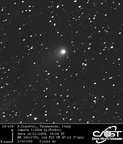 C2004Q1 041116