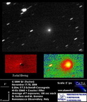 C2004Q1 041117