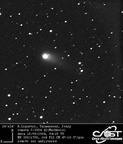 C2004Q2 040918