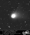 C2004Q2 041116