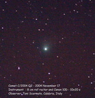 C2004Q2 041117