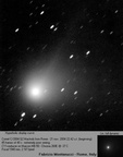 C2004Q2 041121e