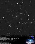 C2005N1 050806