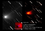 C2006A1 060308e