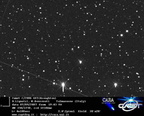 C2006OF2 070907