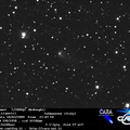C2006Q1 090318