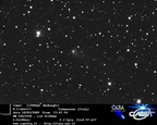 C2006Q1 090318