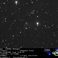 C2006Q1 090425