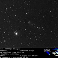 C2006Q1 090516