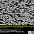 P2006U1 061123b