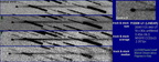 P2006U1 061123d