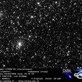 C2006W3 080210
