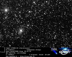 C2006W3 080210