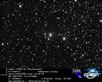 C2006W3 080311