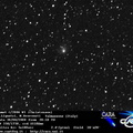 C2006W3 080830