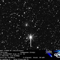 C2006W3 080908