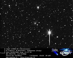 C2006W3 080910