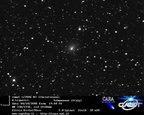 C2006W3 081004