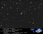 C2007B2 080325