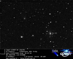 C2007B2 080527