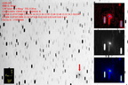 C2008J1 080707