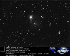 P2008Q2 081025