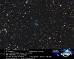 C2008T2 090219