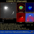 C2009P1 110605