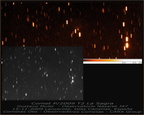 P2009T2 091115