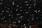 C2009Y1 110129